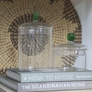 Set of 2 Cactus Top Canisters